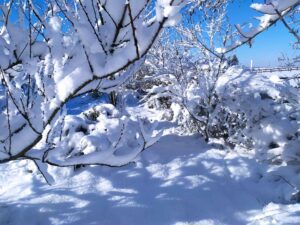 Paysage "presque" vierge