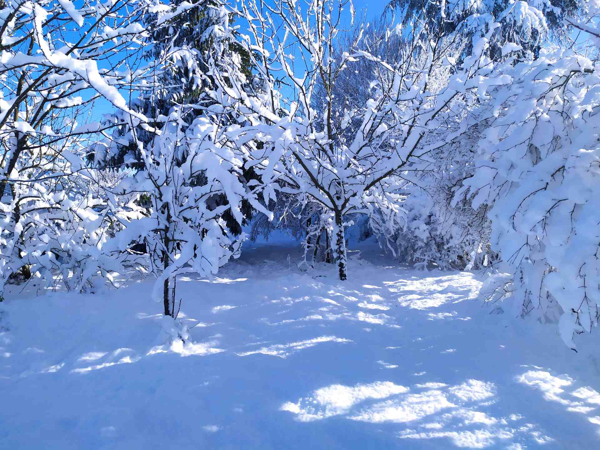 La magie opère avec la neige
