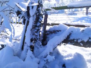 La preuve par la racine