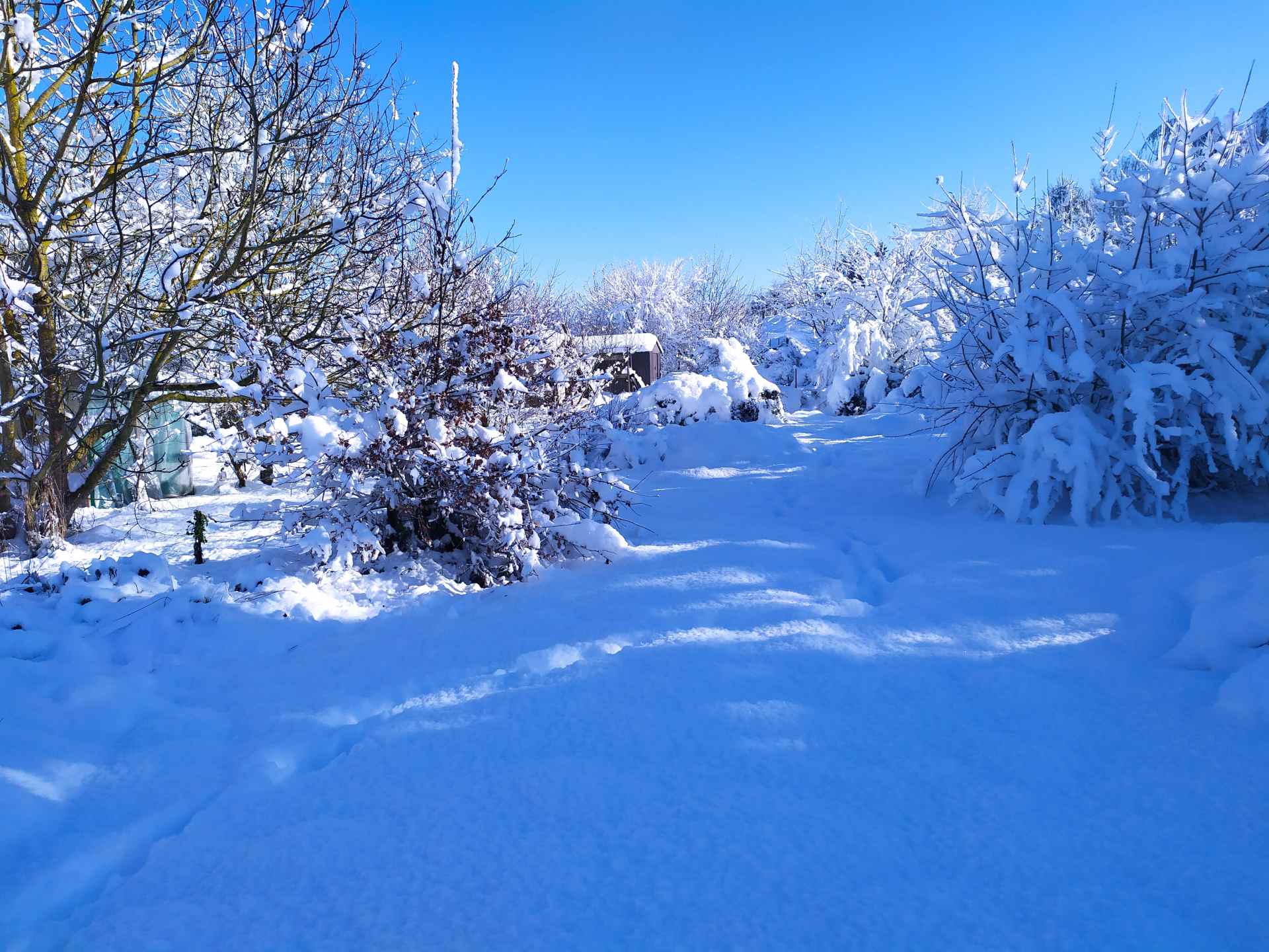 Remontée du fond vers le haut du jardin