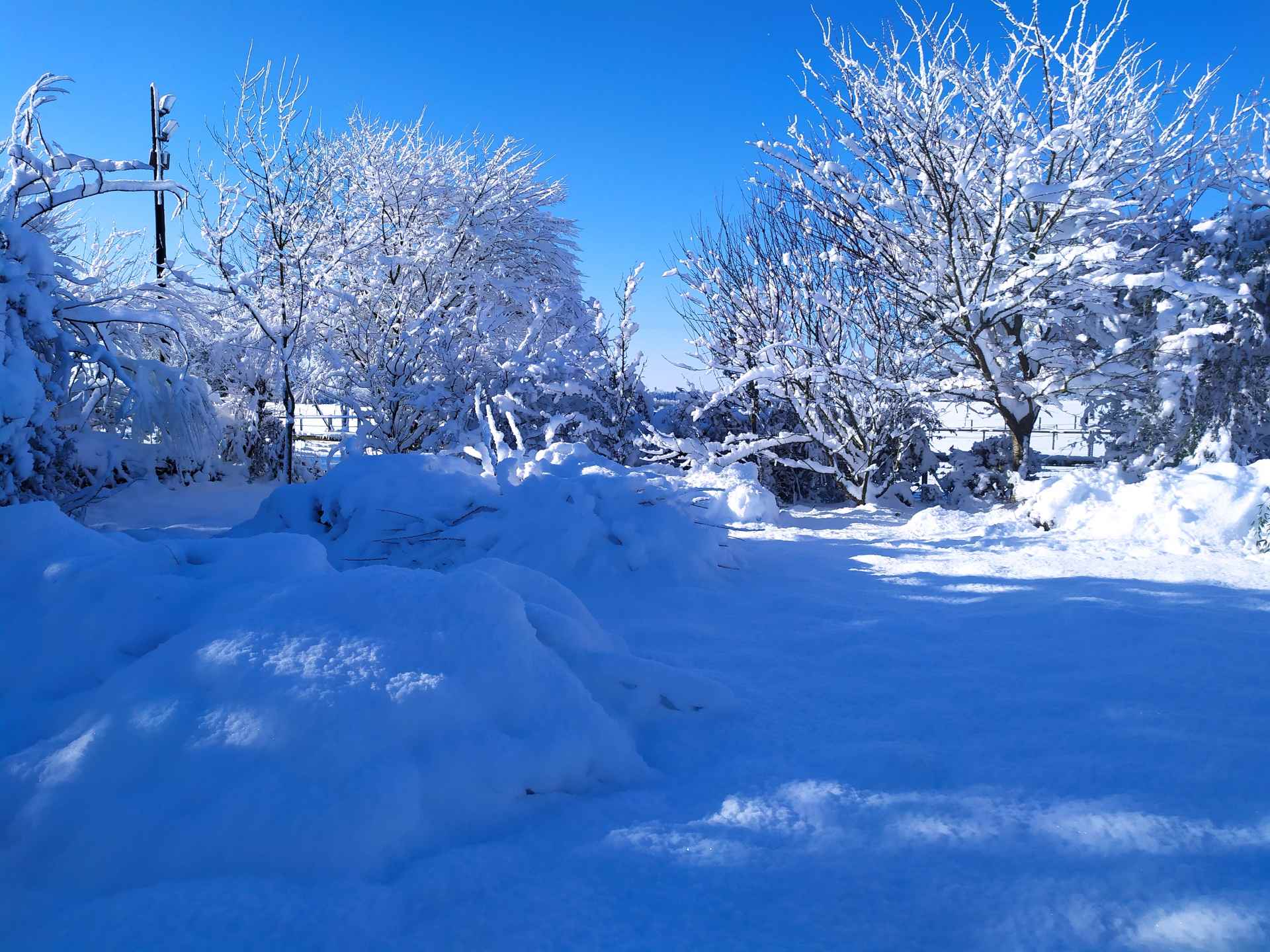 Le fond du champ est aussi pris par la neige
