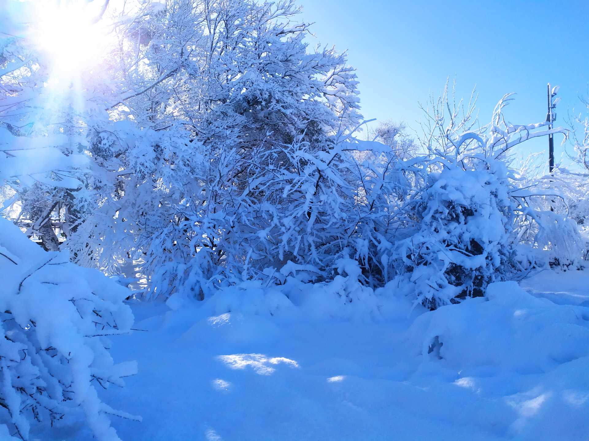 Drôle de paysage sur le côté sud du jardin