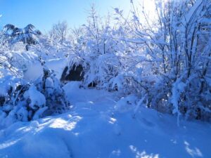 L'usine est entourée de neige