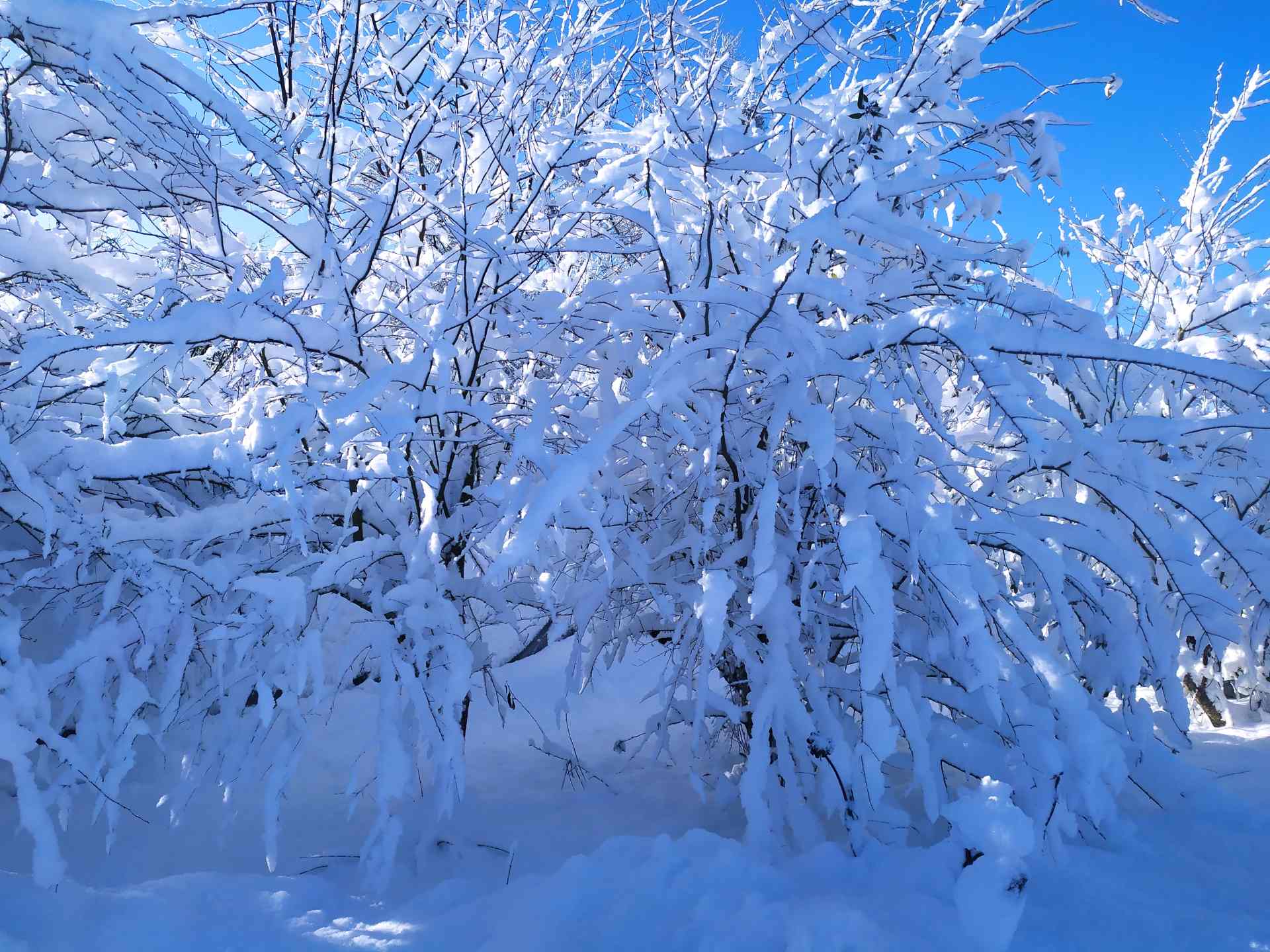 Des monstres de glace et de neige fondent sur nous