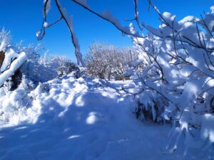 Aperçu du milieu du terrain sous la neige