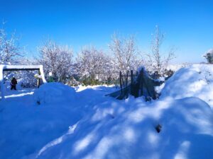 Le potager de la cathédrale sous la neige
