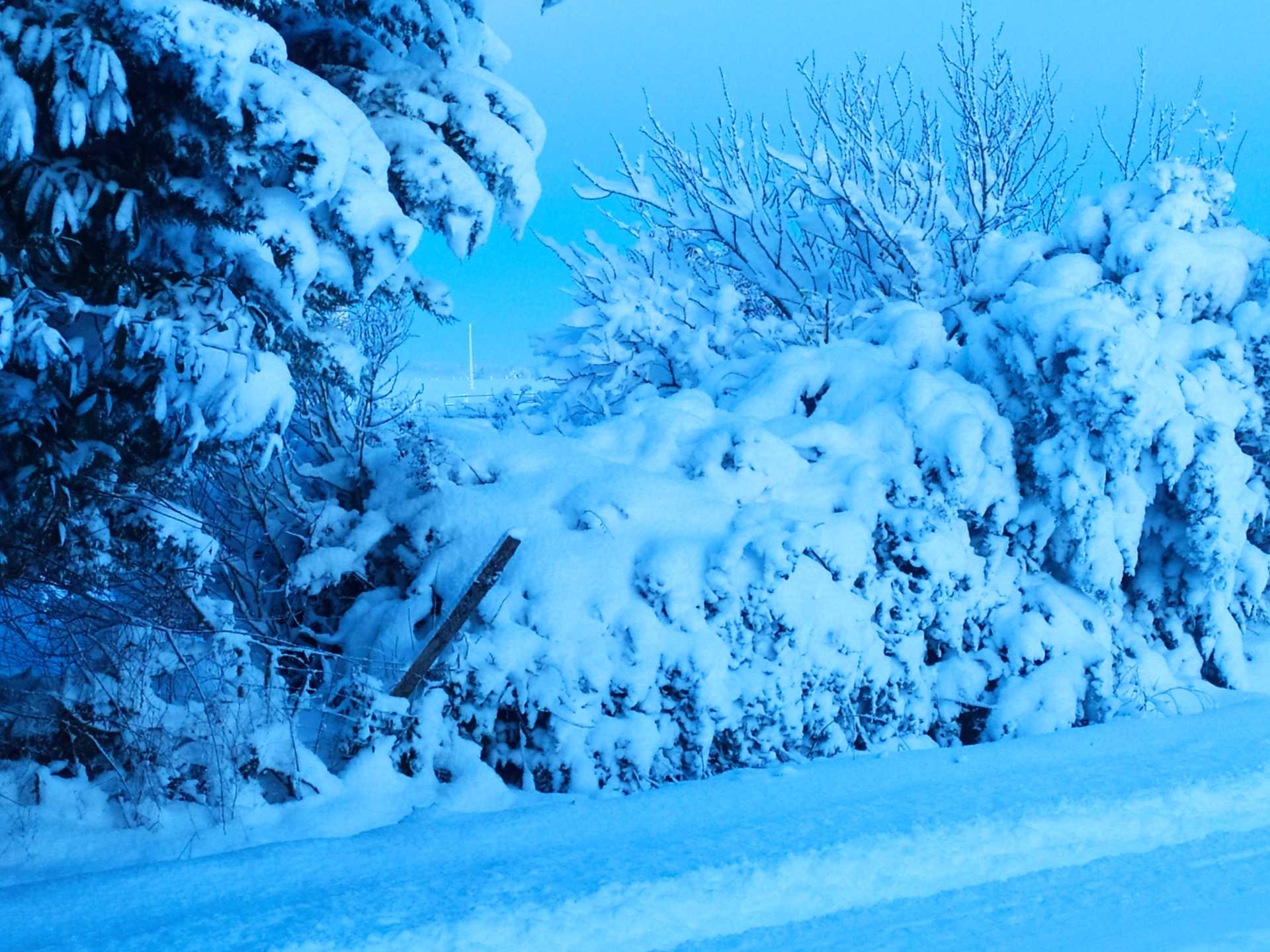 Neige, neige et neige