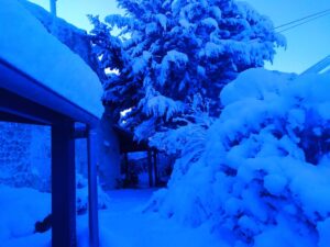 La neige en masse