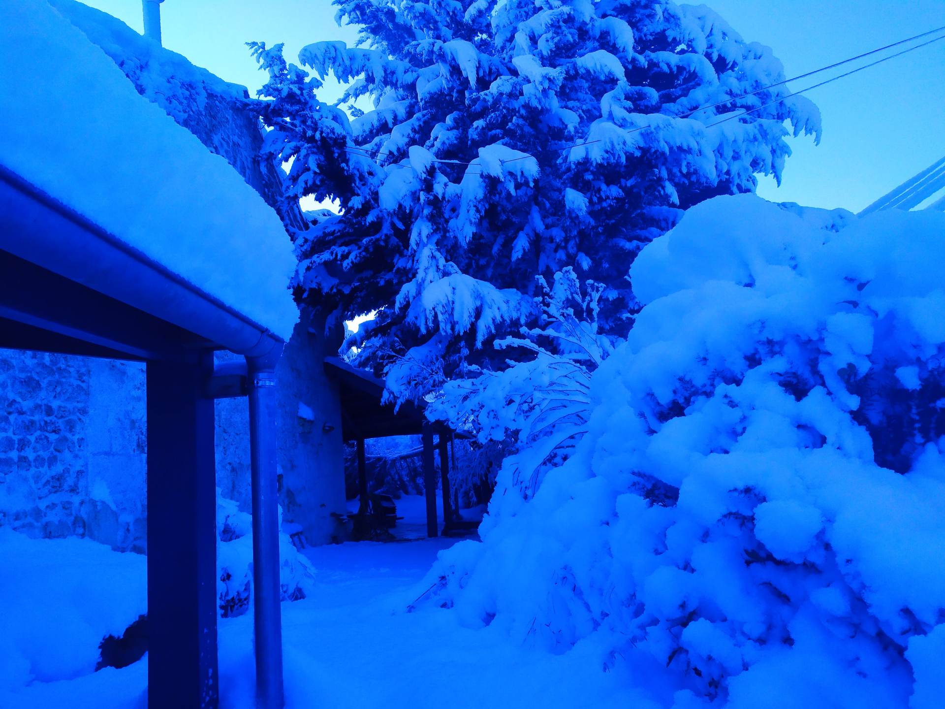 La neige en masse