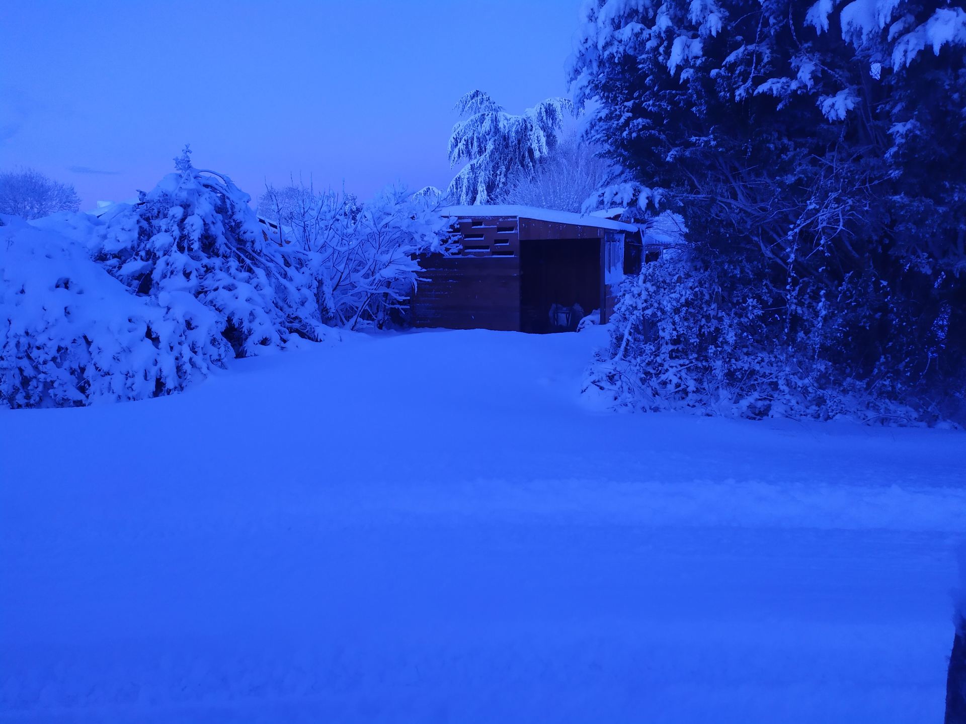 Entrée du jardin sous la neige