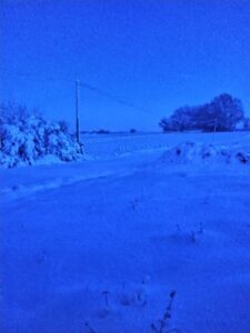 Arbres, buissons, champs et routes recouverts de neige