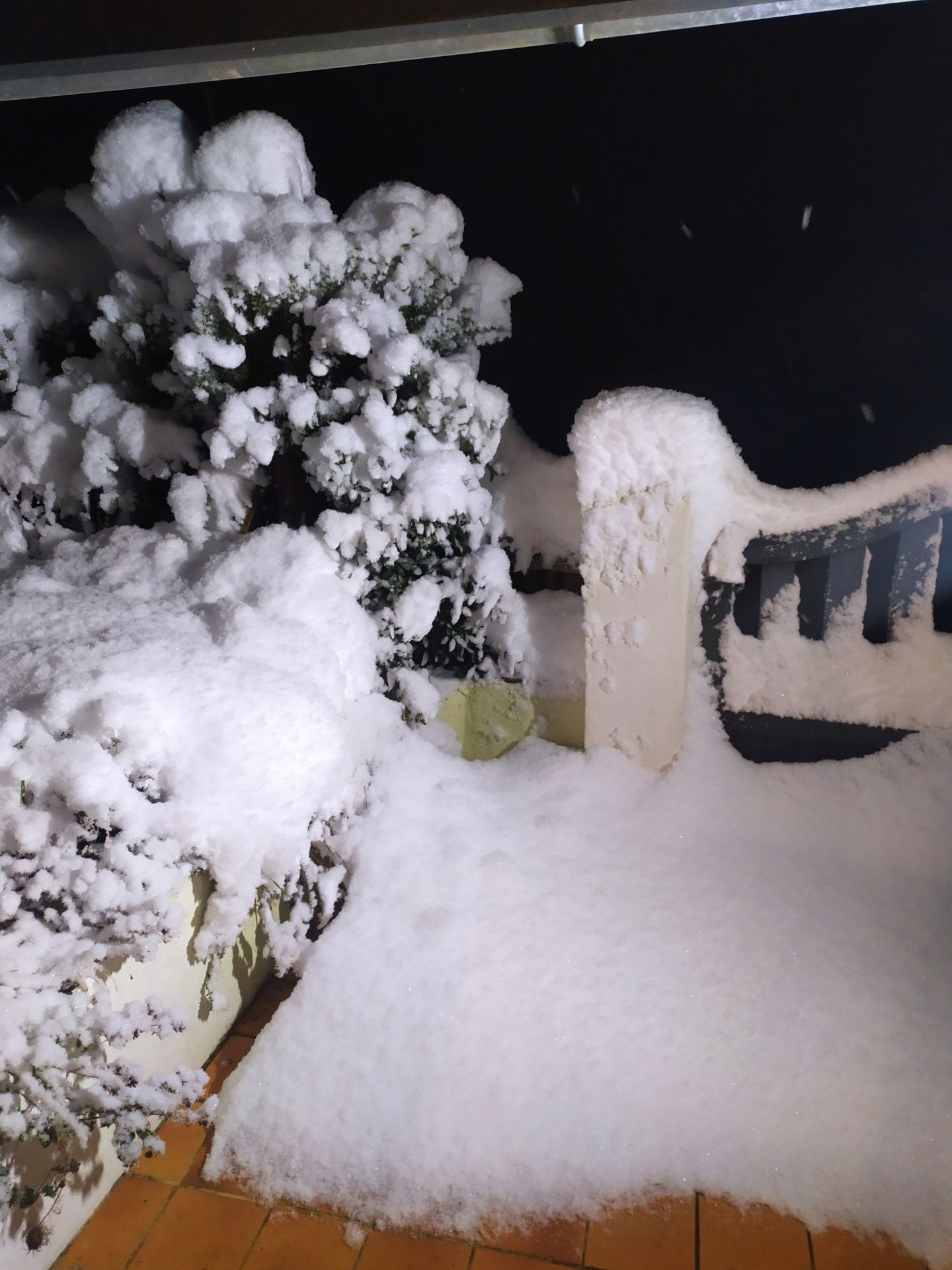 Portail pris par la neige